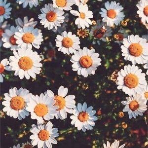 Meet your Posher, Jadyn